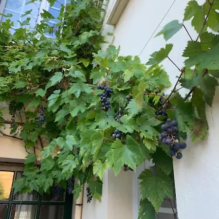 Appartement Spacieux Et Elegant Avec Jardin Montivilliers Exterior photo